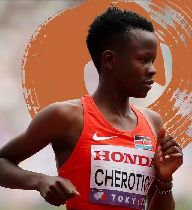 混合采访区 混合采访区